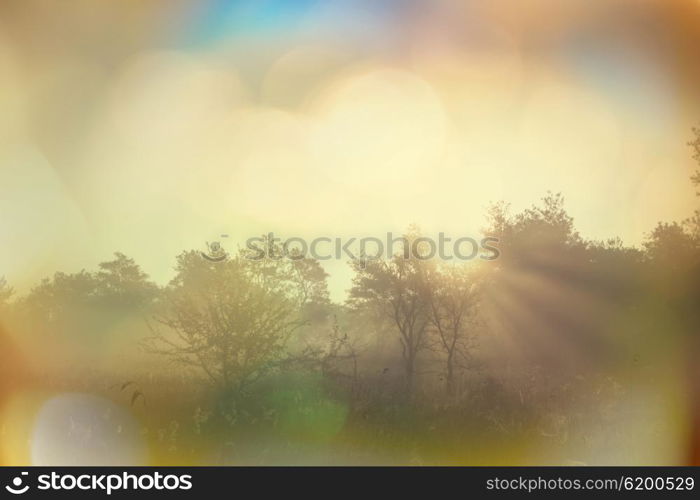 Rural landscapes at sunrise