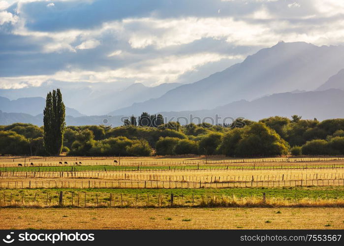 Rural landscapes in Argentina