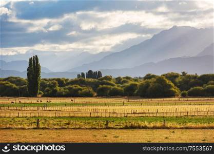 Rural landscapes in Argentina