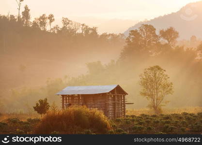 Rural landscapes in Northern Thailand