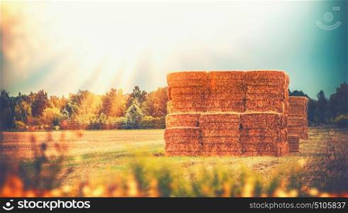 Rural late summer country landscape with wheat haystack or straw bales on field, agriculture farm and farming