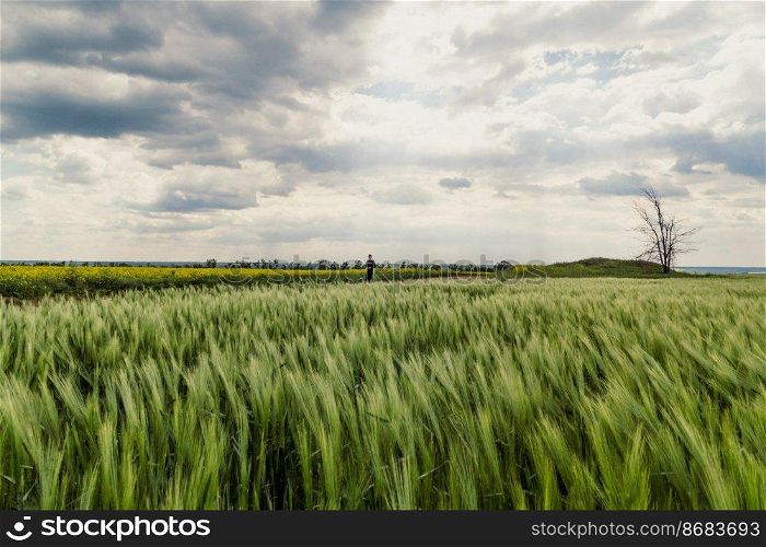 Rural meadow landscape photo. Beautiful nature scenery photography with grain field on background. Idyllic scene. High quality picture for wallpaper, travel blog, magazine, article. Rural meadow landscape photo