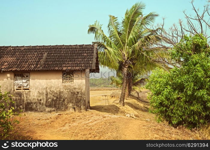 Rural old house against the jungle and sky