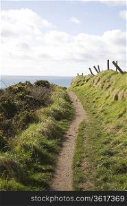 Rural path on seaside