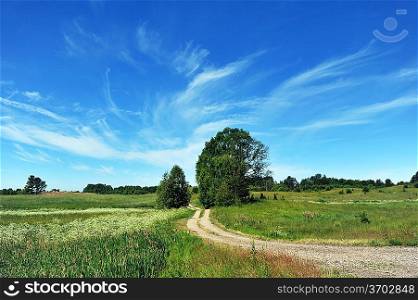 rural road among fields and sky with clouds