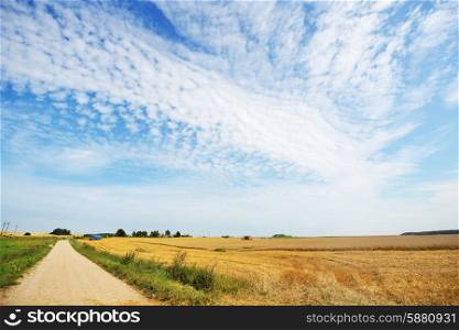 rural road among fields and sky with clouds