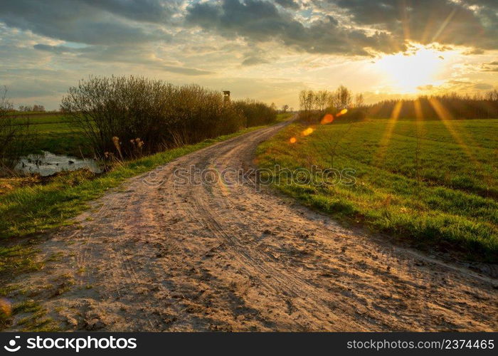 Rural road among green fields and sunshine, Zarzecze, Lubelskie, Poland