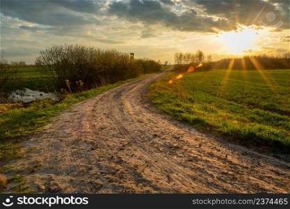 Rural road among green fields and sunshine, Zarzecze, Lubelskie, Poland