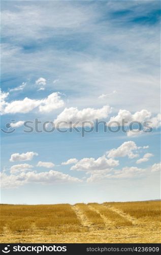 Rural road and blue cloudy sky