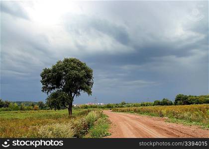 rural road and tree under storm overcast sky