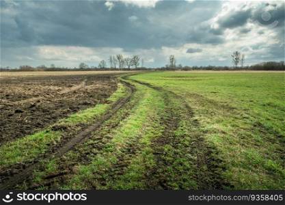 Rural road between a meadow and a plowed field, view on a cloudy spring day, eastern Poland