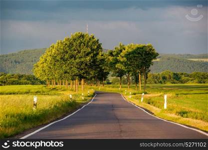 Rural road between fields in warm sunshine under dramatic sky, fresh vibrant colors, at Rhine Valley (Rhine Gorge) in Germany