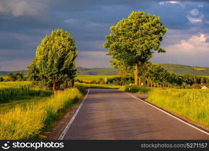 Rural road between fields in warm sunshine under dramatic sky, fresh vibrant colors, at Rhine Valley (Rhine Gorge) in Germany