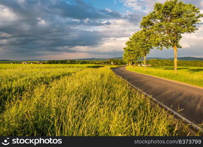 Rural road between fields in warm sunshine under dramatic sky, fresh vibrant colors, at Rhine Valley (Rhine Gorge) in Germany