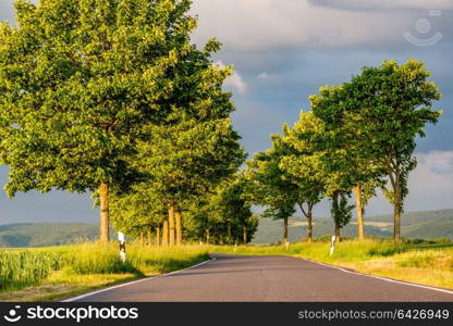 Rural road between fields in warm sunshine under dramatic sky, fresh vibrant colors, at Rhine Valley (Rhine Gorge) in Germany