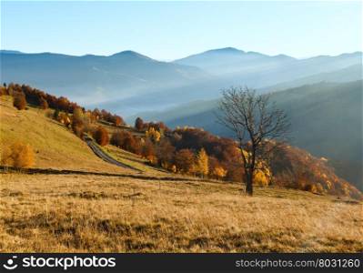 Rural road, colorful trees on autumn mountain slope and sunbeams over it.