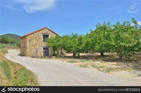 rural road crossing an orchard with old house fruit orchard under blue sky i