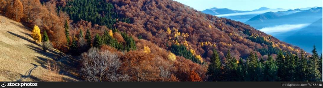 Rural road in autumn misty mountain and colorful trees on slope. Panorama.