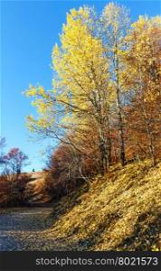 Rural road in autumn mountain and birch trees on slope.