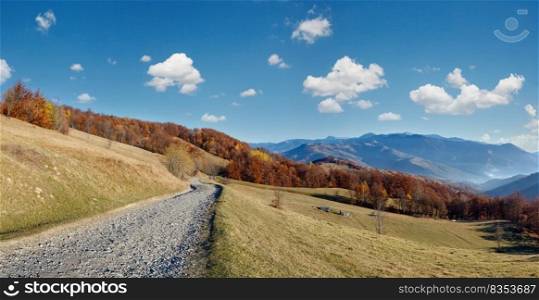 Rural road in autumn mountain and colorful forest on slope.