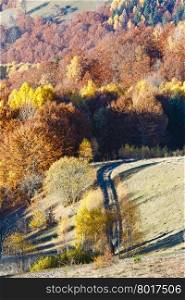 Rural road in autumn mountain and colorful trees on slope.