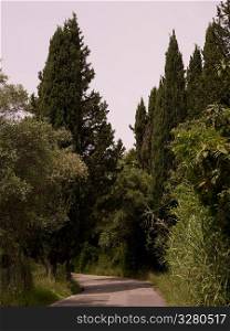 Rural road in Corfu