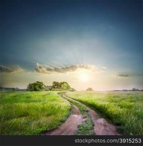 Rural road in field with green grass under the morning sky