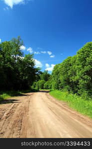 rural road in green forest in Russia