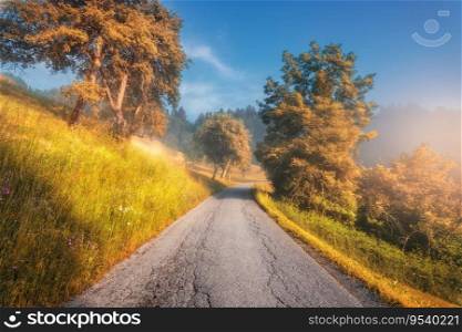 Rural road in mountains in autumn foggy morning. Nature. Landscape with country road, orange trees and yellow grass on the hill in fog, sky at sunrise in fall in Slovenia. Top view of roadway. Nature