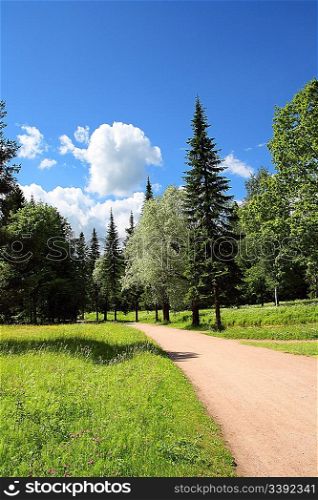 rural road in Pavlosk park Saint-Petersburg Russia