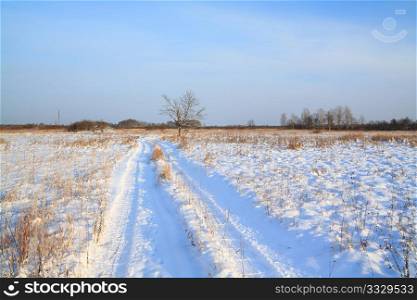 rural road through winter field