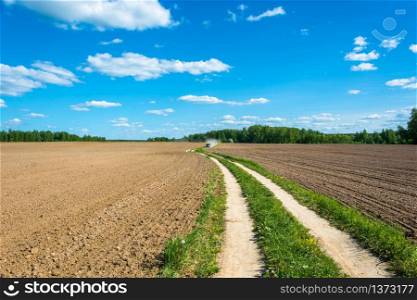 Rural road with green grass, between two plowed fields on a Sunny summer day.
