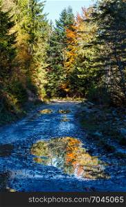 Rural road (with trees reflection in puddle) in autumn Carpathian Mountains (Guta, Ivano-Frankivsk oblast, Ukraine).