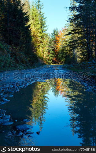 Rural road (with trees reflection in puddle) in autumn Carpathian Mountains (Guta, Ivano-Frankivsk oblast, Ukraine).