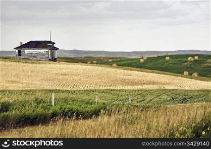Rural Saskatchewan in summer with crops Canada