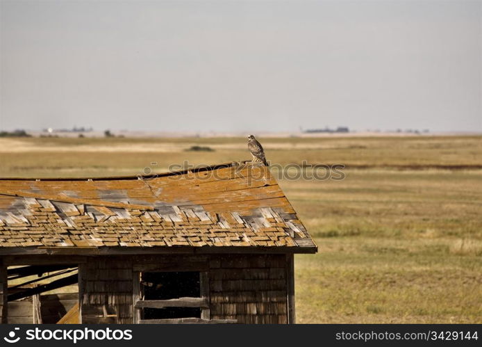 Rural Saskatchewan in summer with crops Canada