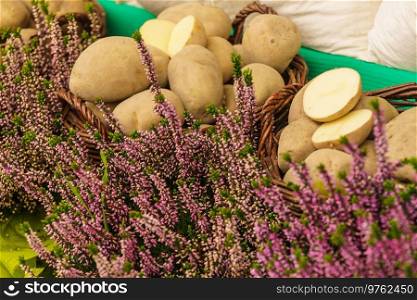 Rural scene. Purple flowers against cut in half potatoes. Agriculture, folk concept.. Purple flowers against potatoes