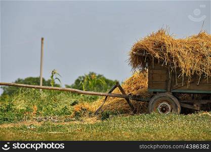 rural scene stack hay and cart in summer countryside