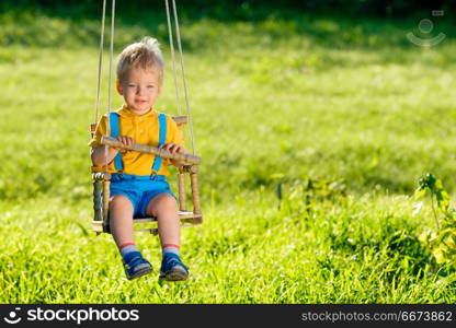 Rural scene with toddler boy swinging outdoors. . Portrait of toddler child swinging outdoors. Rural scene with one year old baby boy at swing. Healthy preschool children summer activity. Kid playing outside.