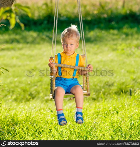 Rural scene with toddler boy swinging outdoors. . Portrait of toddler child swinging outdoors. Rural scene with one year old baby boy at swing. Healthy preschool children summer activity. Kid playing outside.