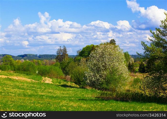 Rural spring landscape with blue sky and puffy clouds