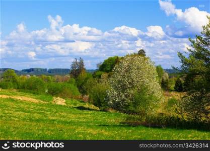 Rural spring landscape with blue sky and puffy clouds