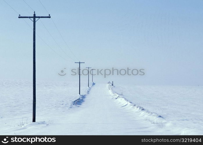 Rural Telephone Poles in the Snow