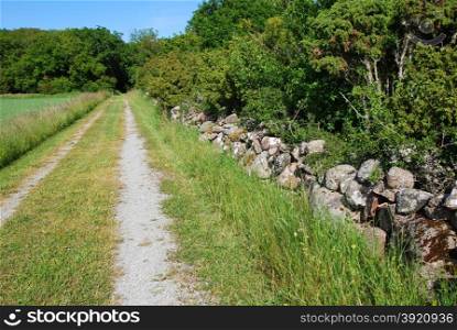 Rural tracks by a stone wall in a green landscape
