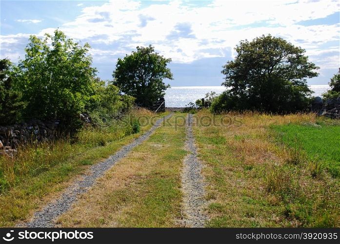 Rural tracks leading to the coast at the swedish island Oland in the Baltic Sea