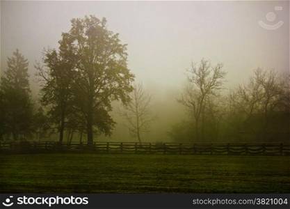 Rural village scenery in morning fog, Prigorje region of Croatia