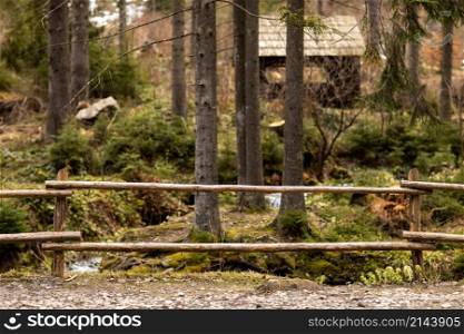 rural wooden fence in the pine forest. natural summer background.. rural wooden fence in the pine forest. natural summer background