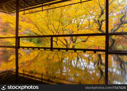 Ruriko-in Temple with colorful maple leaves or fall foliage in autumn season. Colorful trees, Kyoto, Kansai, Japan. Nature landscape background.