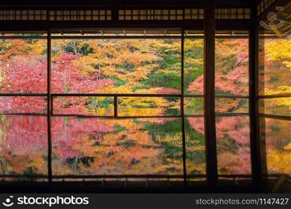 Ruriko-in Temple with colorful maple leaves or fall foliage in autumn season. Colorful trees, Kyoto, Kansai, Japan. Nature landscape background.