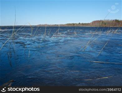 Russian landscape Arkhangelsk Oblast . spring flooding on the lake,Thin ice on the water